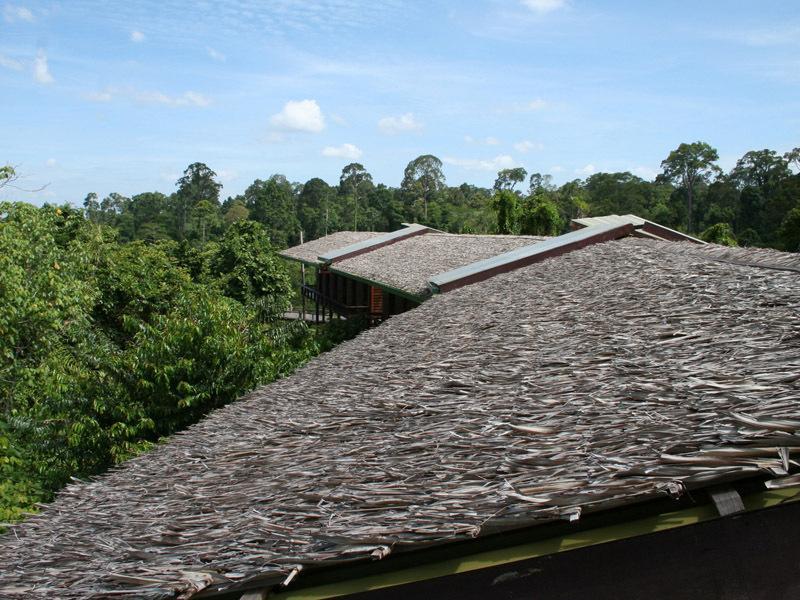 Paganakan Dii Tropical Retreat Sepilok Room photo